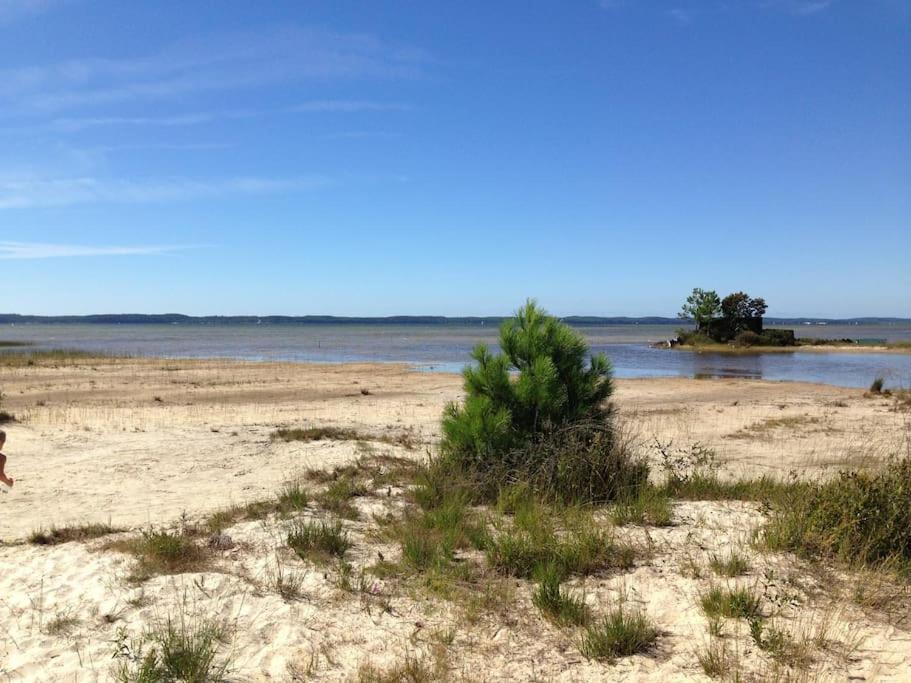 Maison Proche Du Lac ! Hourtin Bagian luar foto
